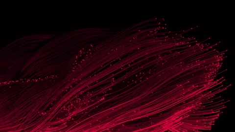 Network Edge Security
